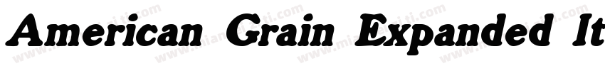 American Grain Expanded Italic字体转换